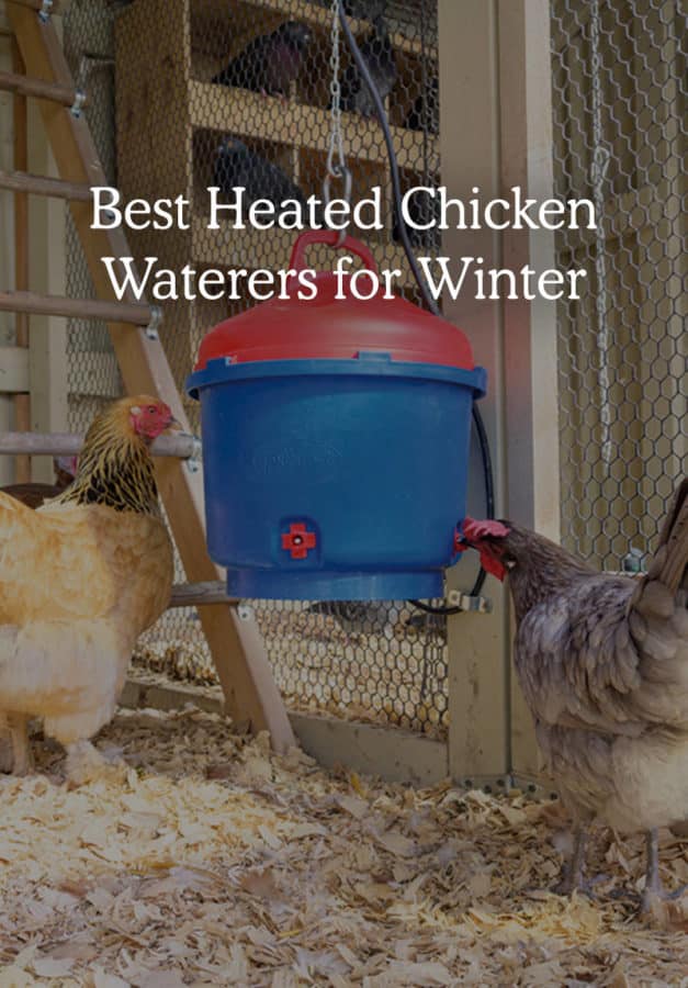 100W Heated Plastic Poultry Fountain Helps Keep Water from Freezing 3 Gallon 