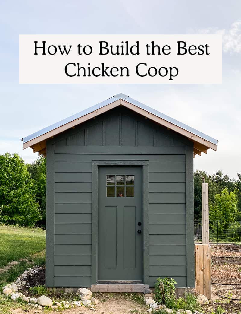 Green Chicken coop with Craftsmen door