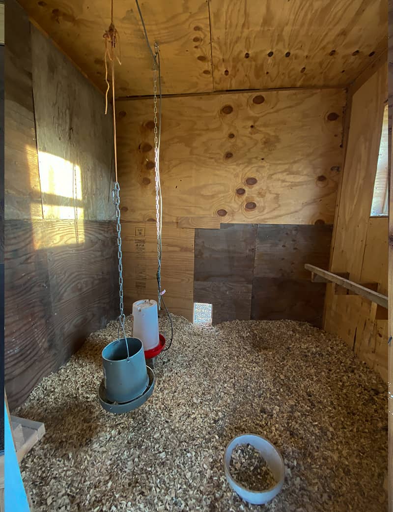 Interior of coop with plywood walls and chicken perch