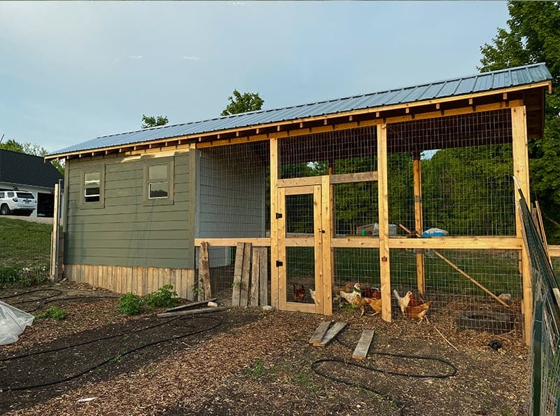 Chicken run with door and metal roof for predator protection