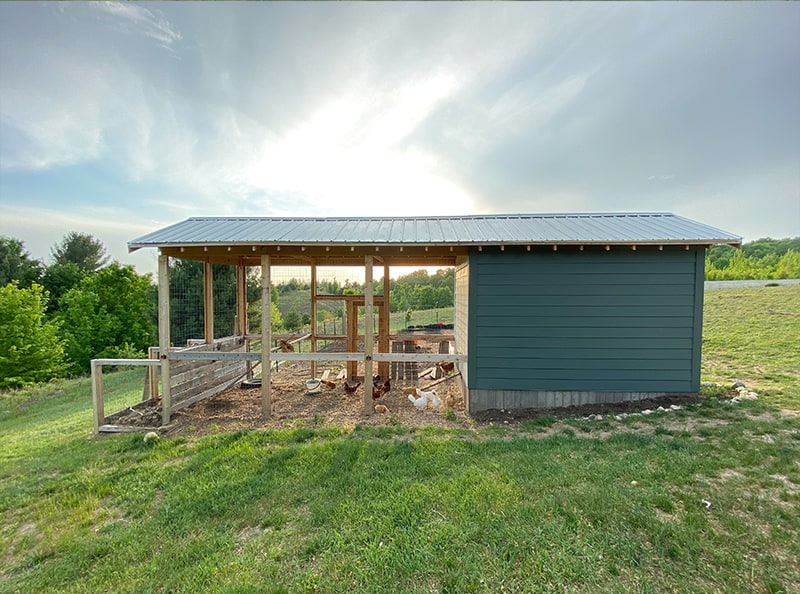 connected chicken run to a large chicken coop with metal roof