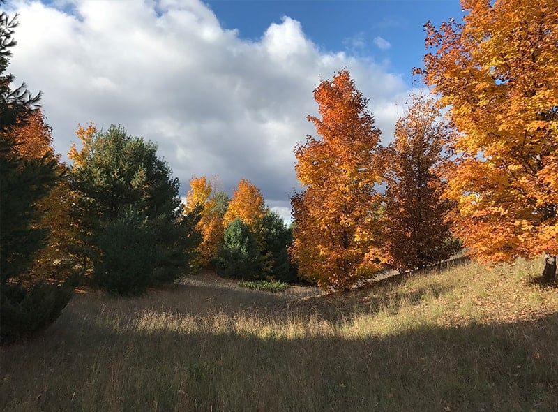 Everything We Learned When Choosing Our Land in Leelanau County, Michigan