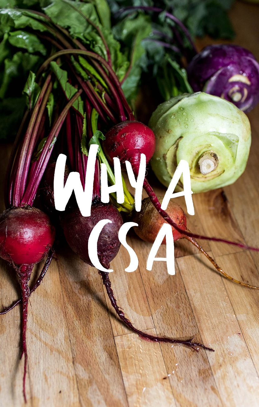 what-is-a-csa-and-where-do-i-find-csa-the-fresh-exchange