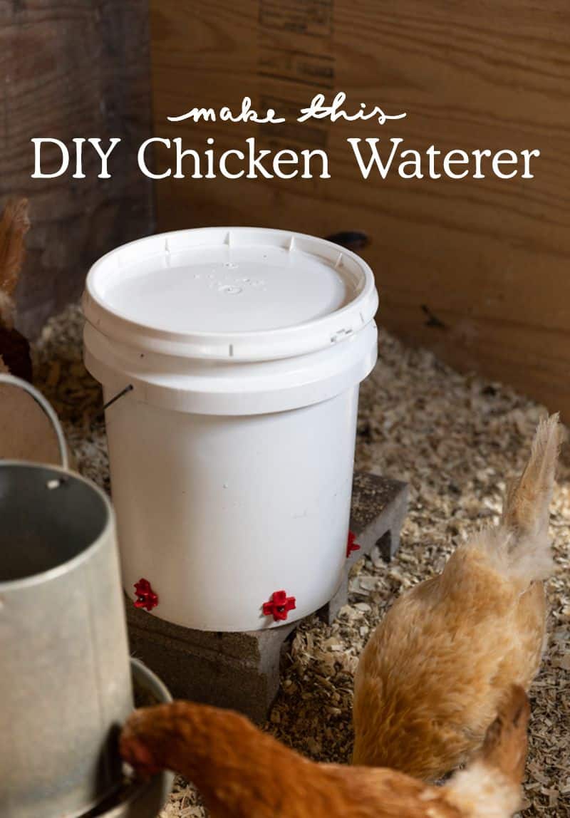 DIY chicken waterer - a photo of diy chicken waterer made by fresh exchange