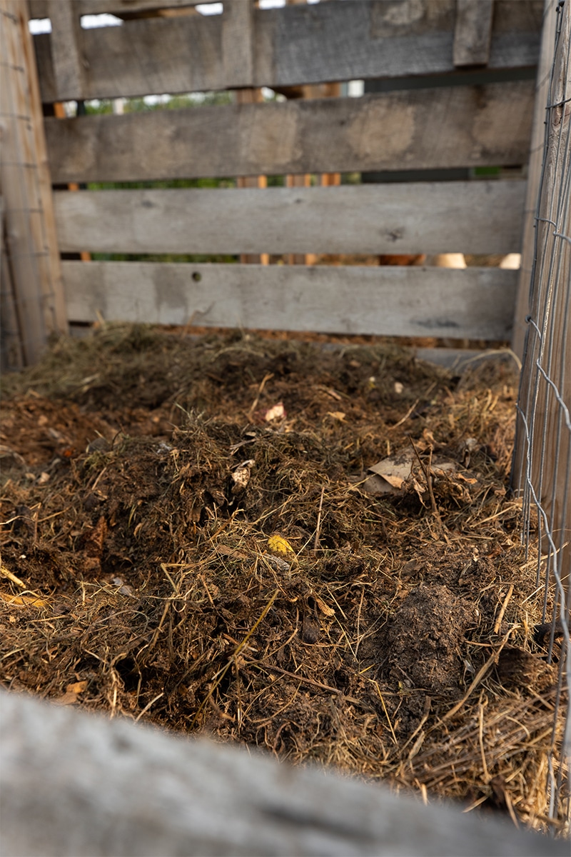 Compost Pile reading for use