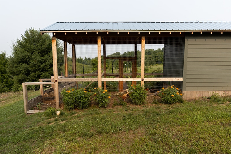 Chicken coop with attached compost bin