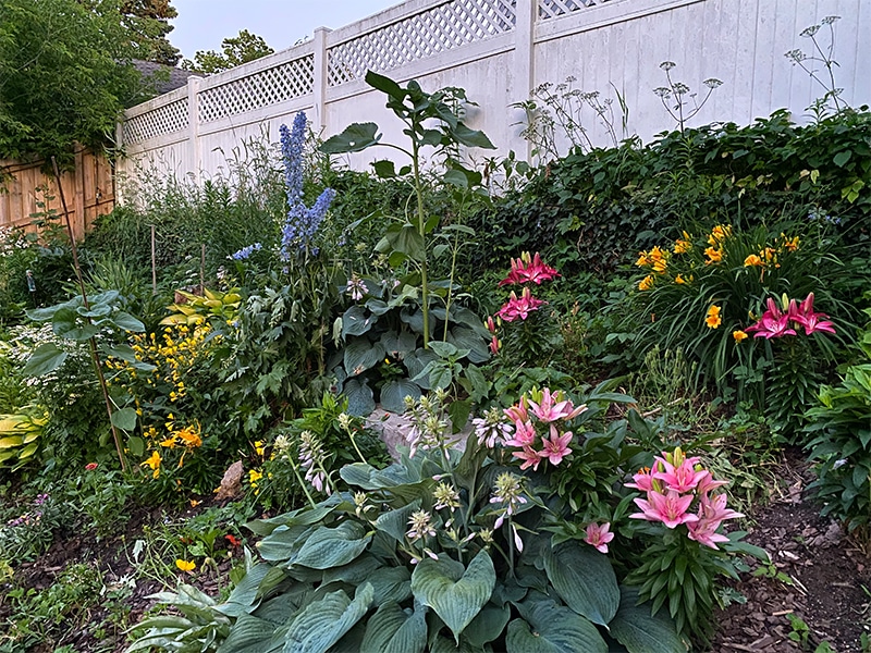 Garden Tour: Megan Stubbs of Grands Rapids, Michigan