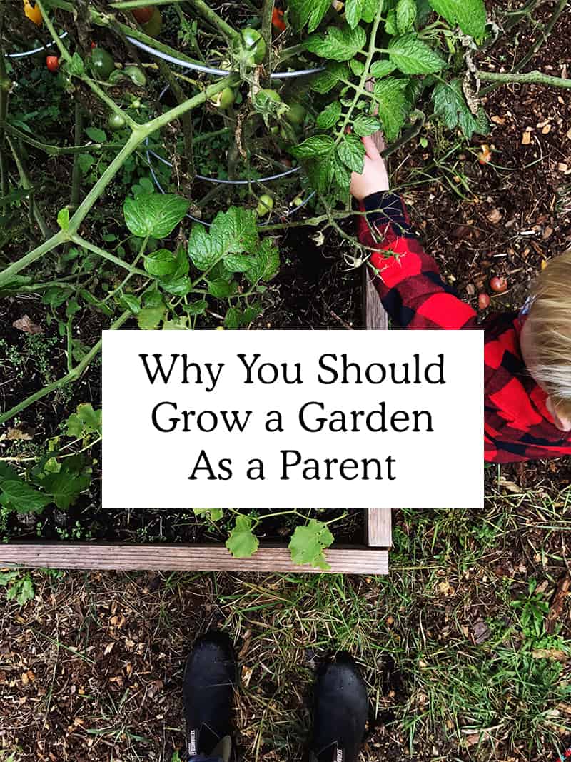 Why And How to Grow A Garden with your Kids This Summer. 
