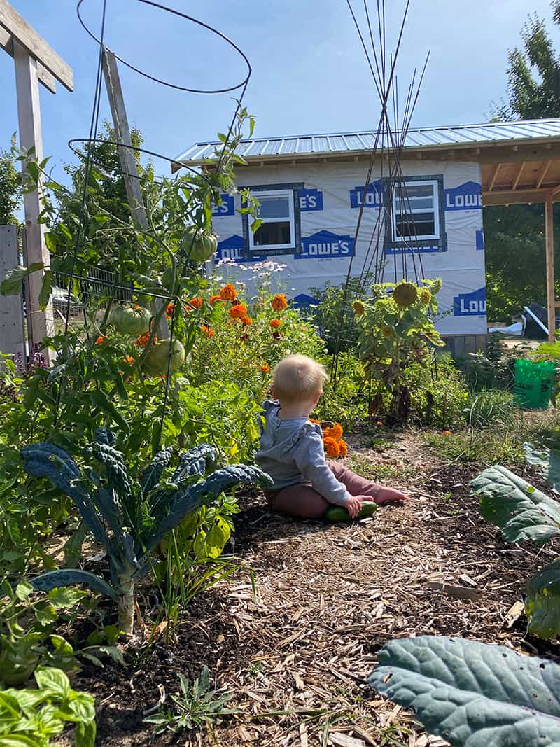 Why And How to Grow A Garden with your Kids This Summer. 