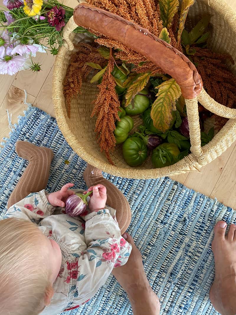 Why And How to Grow A Garden with your Kids This Summer. 