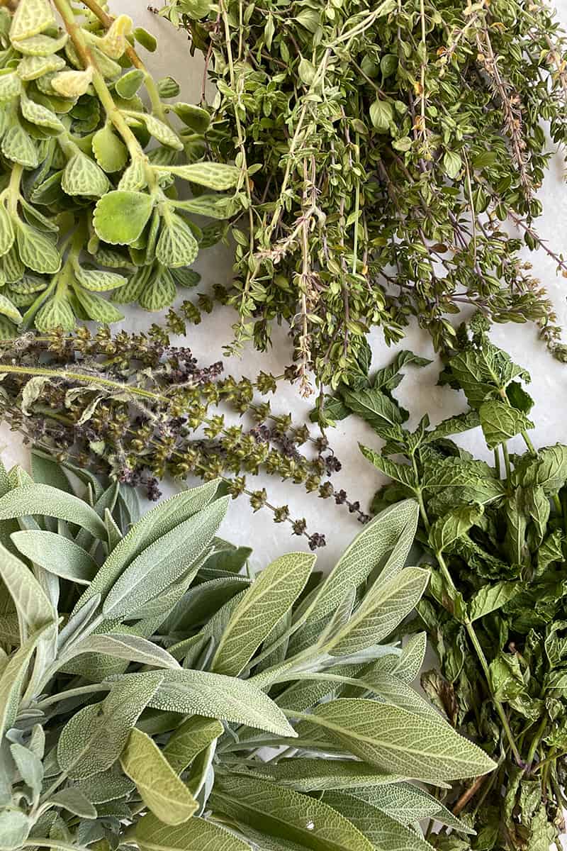 How to Grow an Herb Garden Successfully - Fresh Exchange