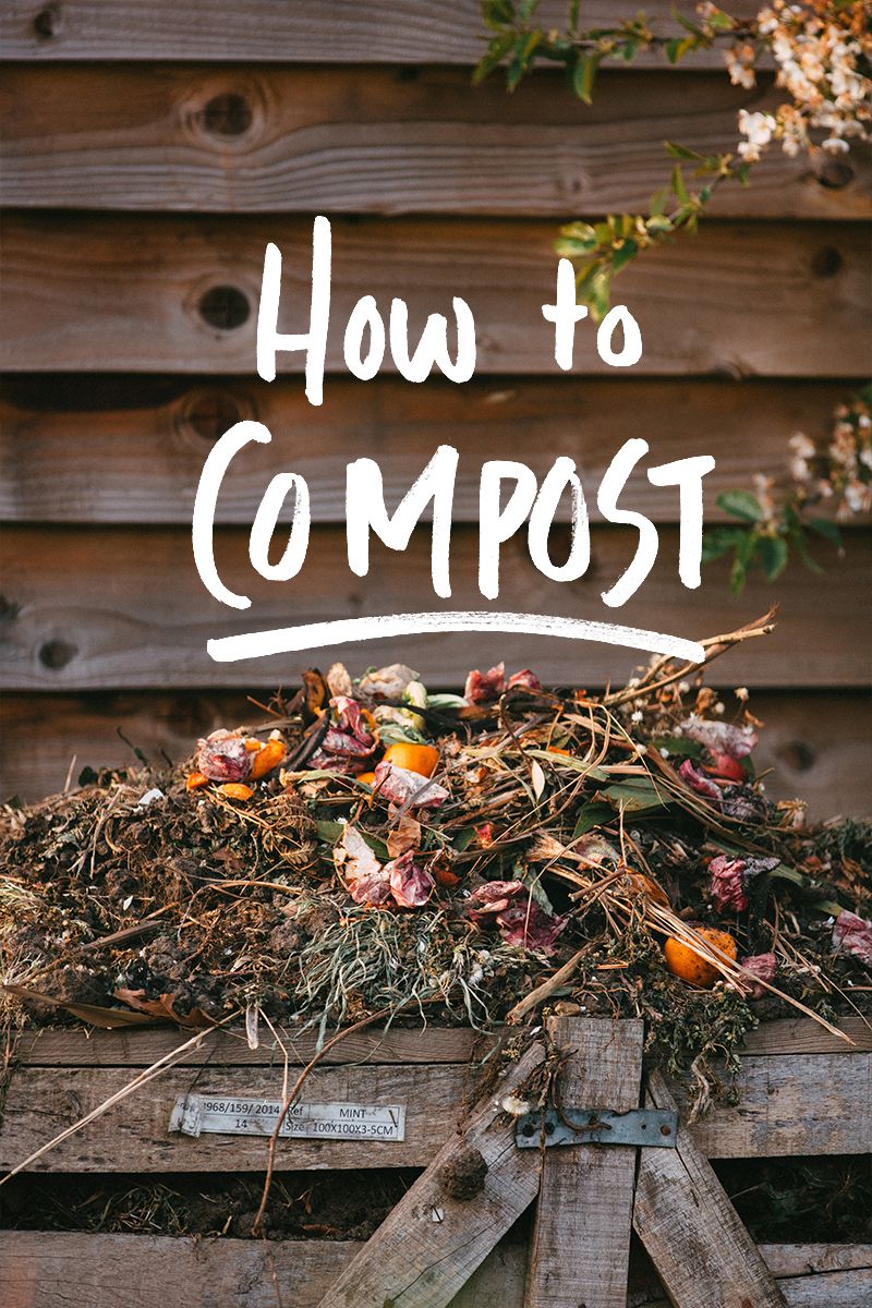 A Guide to Composting: Turn Food Waste Into Garden Gold