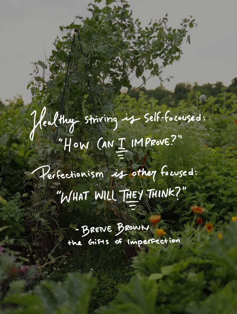 Brene Brown - Gifts of Imperfection Quote