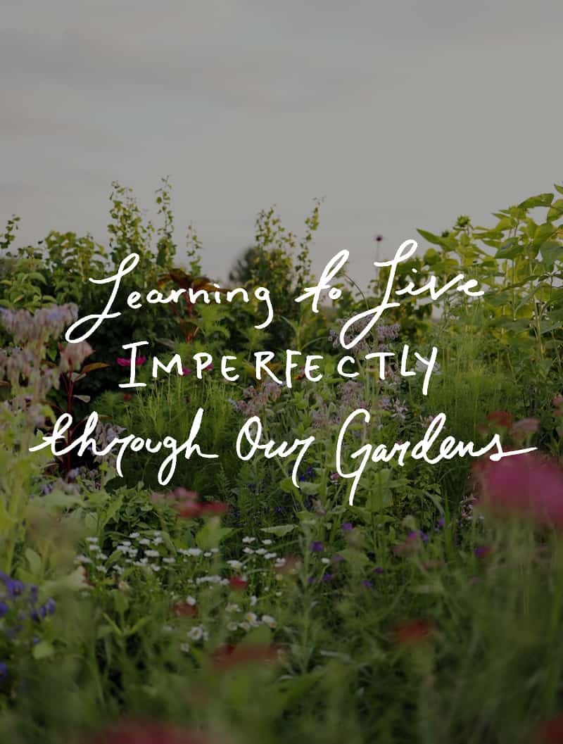 Learn to live imperfectly through our garden