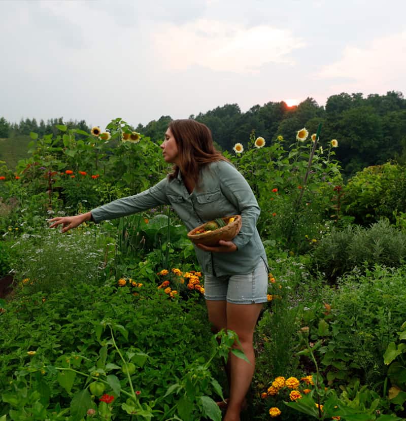 Woman in Garden harvesting