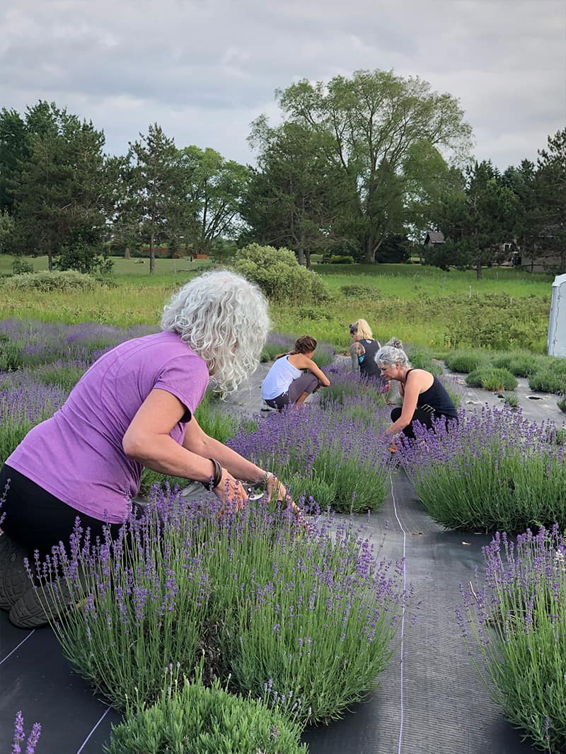 Garden Tour: Kalin Sheick of Sweetwater Floral in Petoskey, Michigan