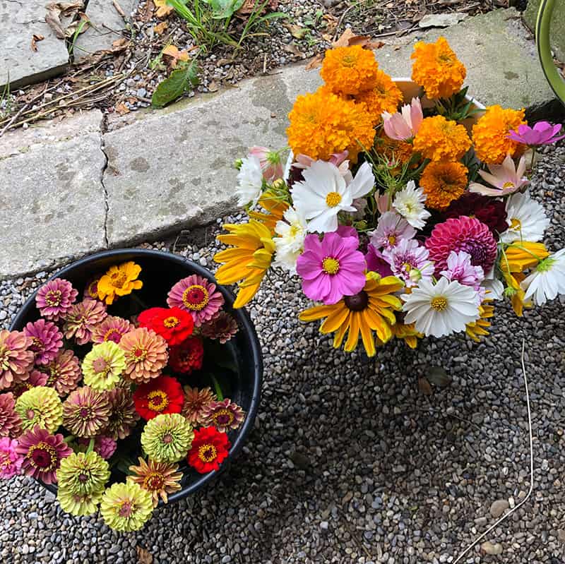 Garden Tour: Kalin Sheick of Sweetwater Floral in Petoskey, Michigan