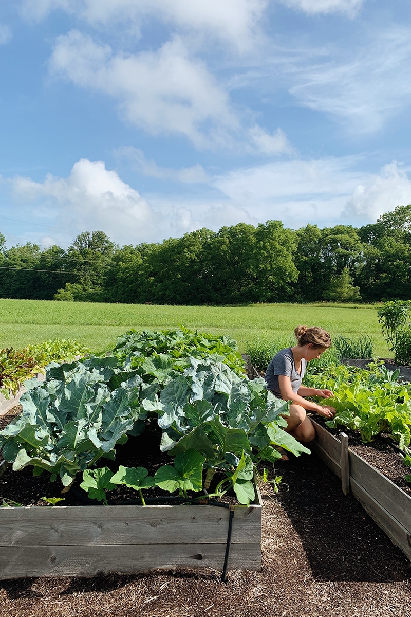 Garden Tour in Indiana - Kelsey Johnston of My Simply Simple