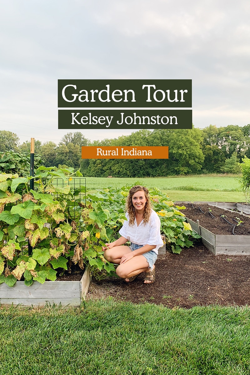 Johnson County gardeners' tips on how to attract these iconic