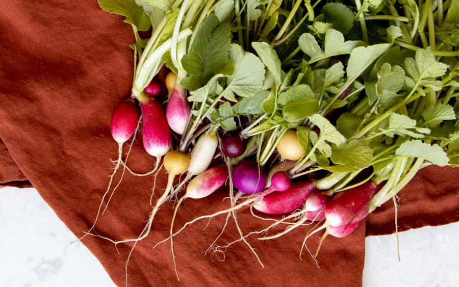 Roasted Radishes with Radish Green Pesto - Vegan Recipe on The Fresh Exchange