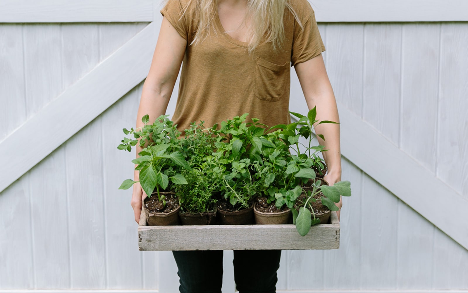 How to Start Seeds Indoors this Year - My Fool Proof Method on The Fresh Exchange