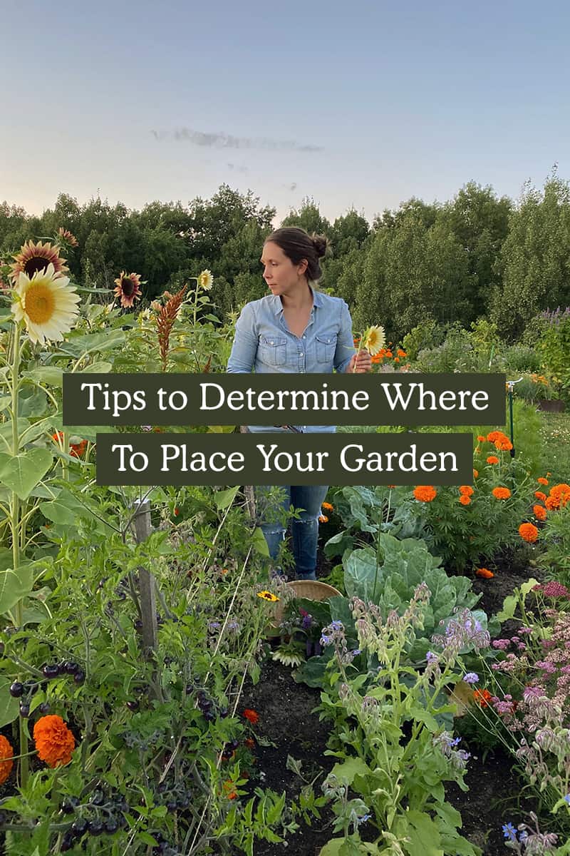 Tops Tips Before Starting a Garden