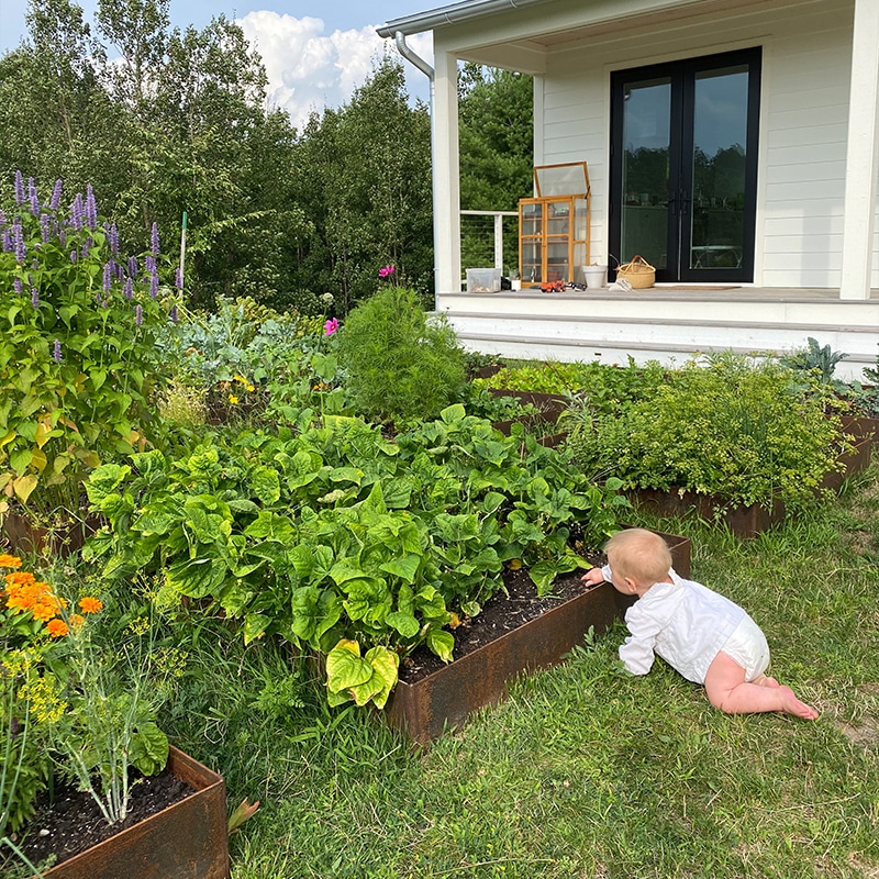 2020 Garden Recap on The Fresh Exchange