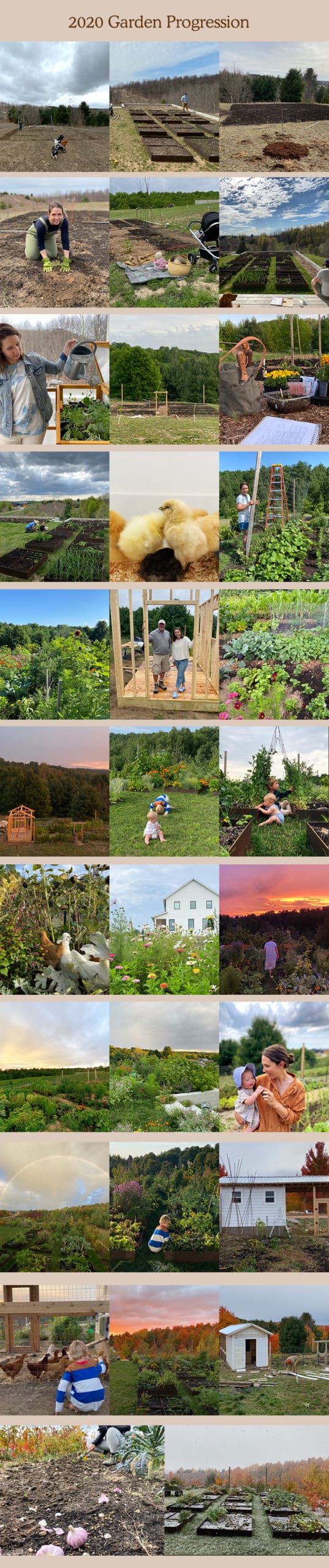 2020 Garden Recap on The Fresh Exchange