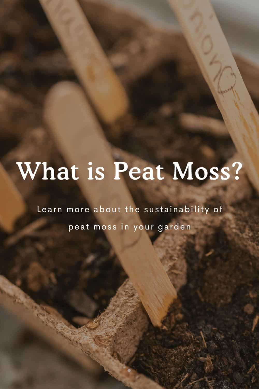 image of peat moss pots with the words what is peat moss on top