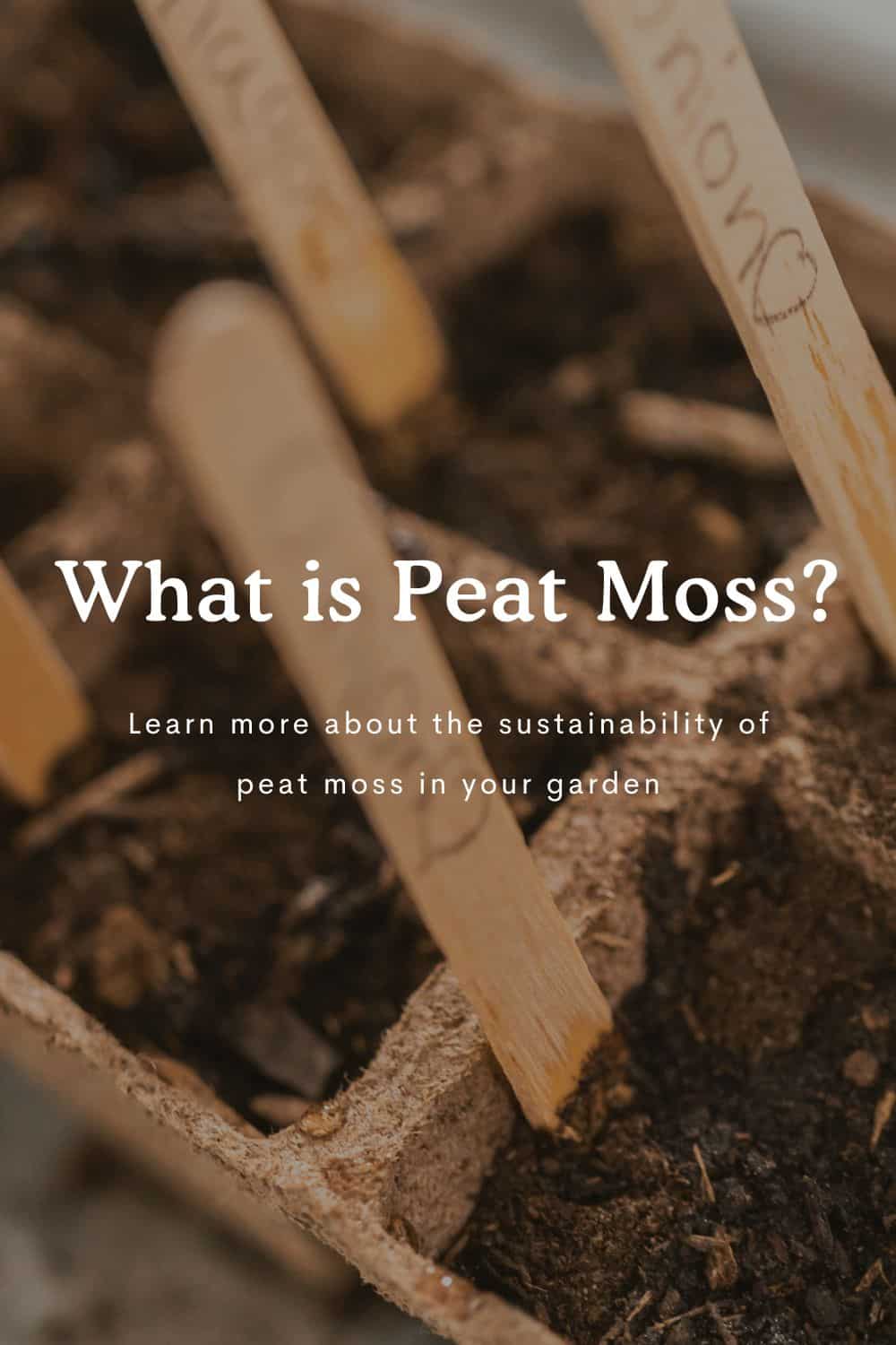 The Truth About Peat Moss in Your Garden and 5 Eco-Friendly Alternatives