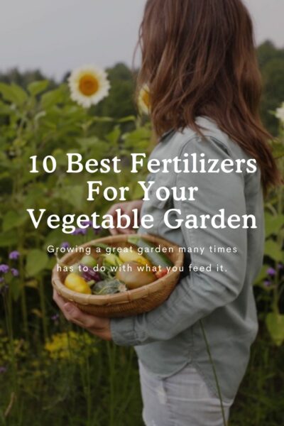 10 Best Fertilizers For The Vegetable Garden - Fresh Exchange