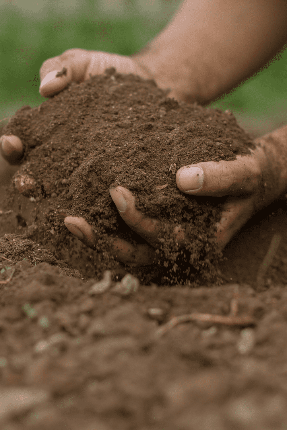 hands digging and holding soil