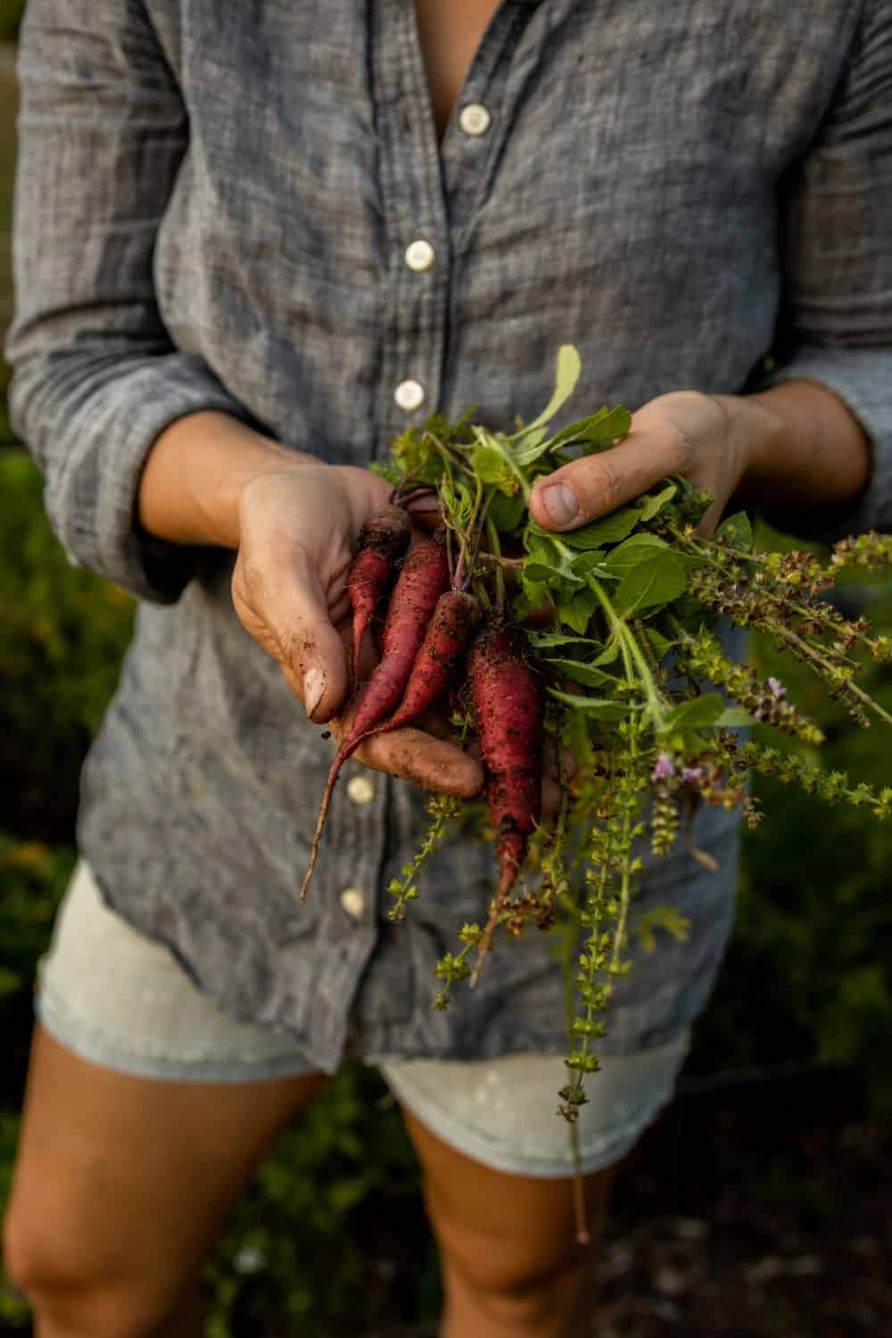 woman holding purple carrots with a chambray shirt on