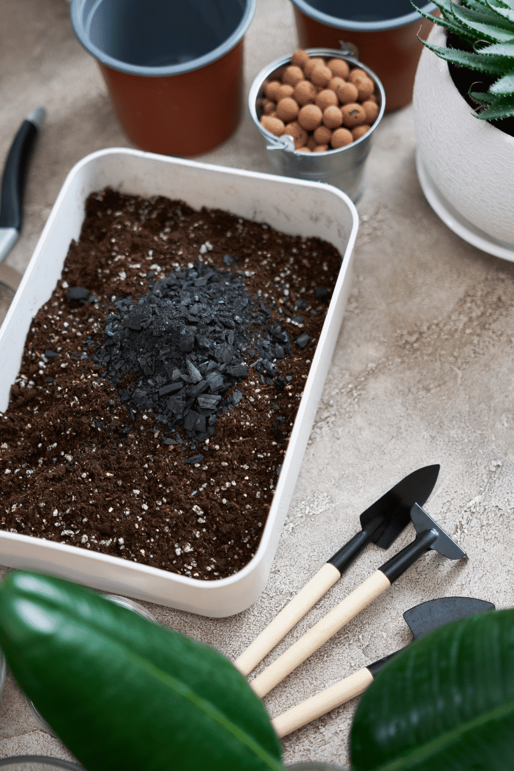 garden soil in container mixed with biochar and perlite. 