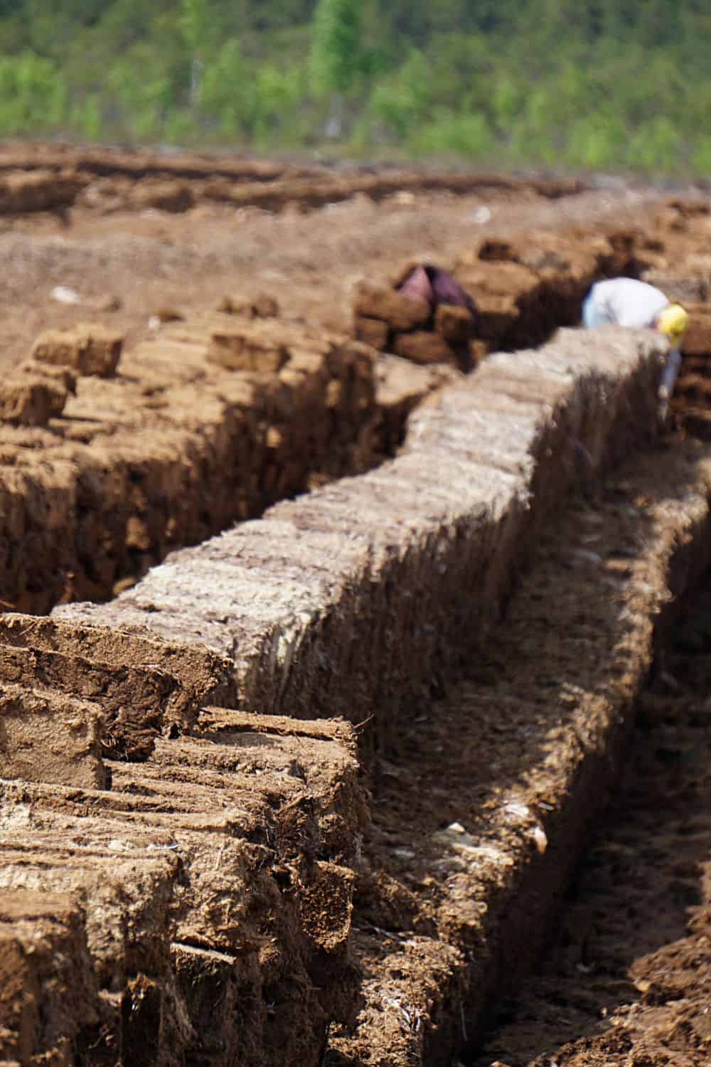 peat bog extraction