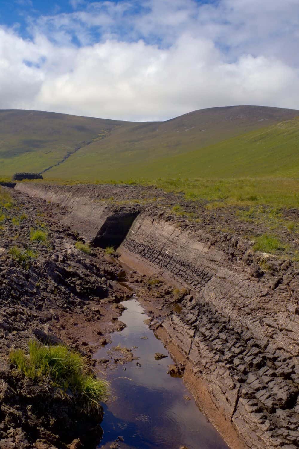 peat bog extraction