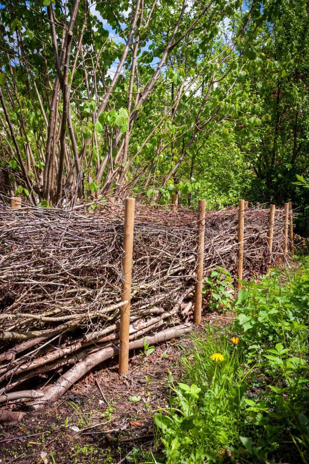 natural brush fencing