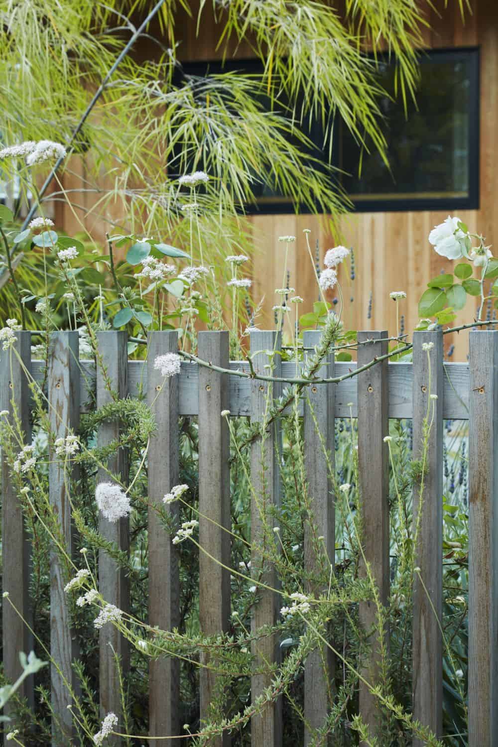 cedar wood modern picket fence with flowers growing around it