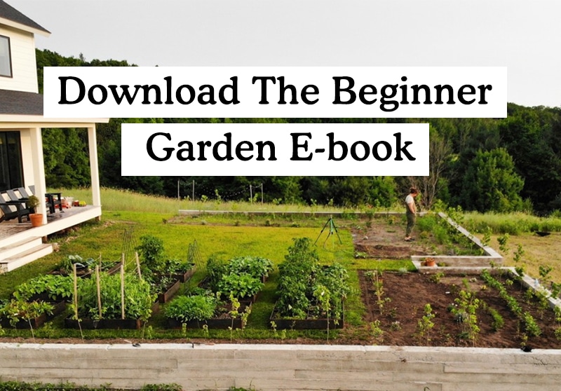 What to Grow In your First Garden as a Beginner. Get the full list on The Fresh Exchange.