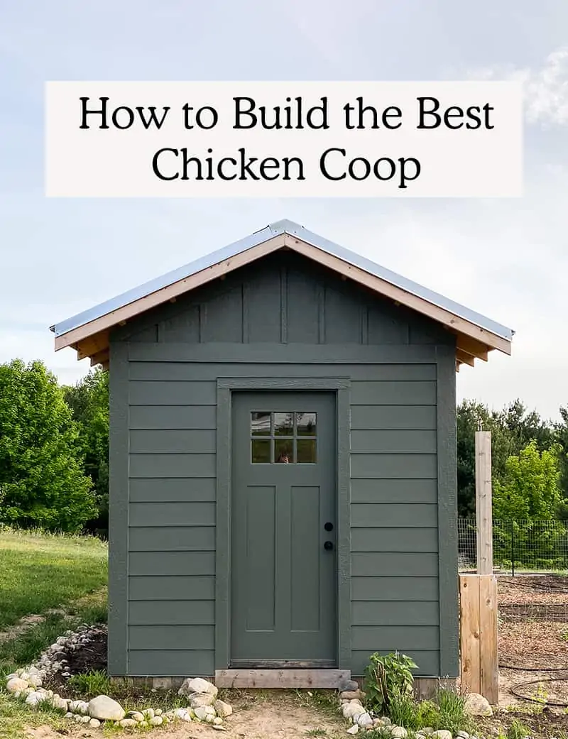 Our own DIY Chicken Coop