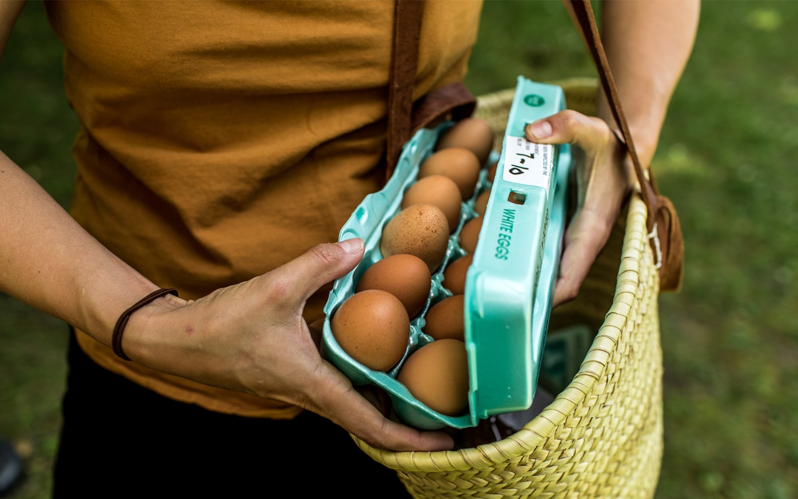 Farmers Market Eggs – Everything You Need To Know