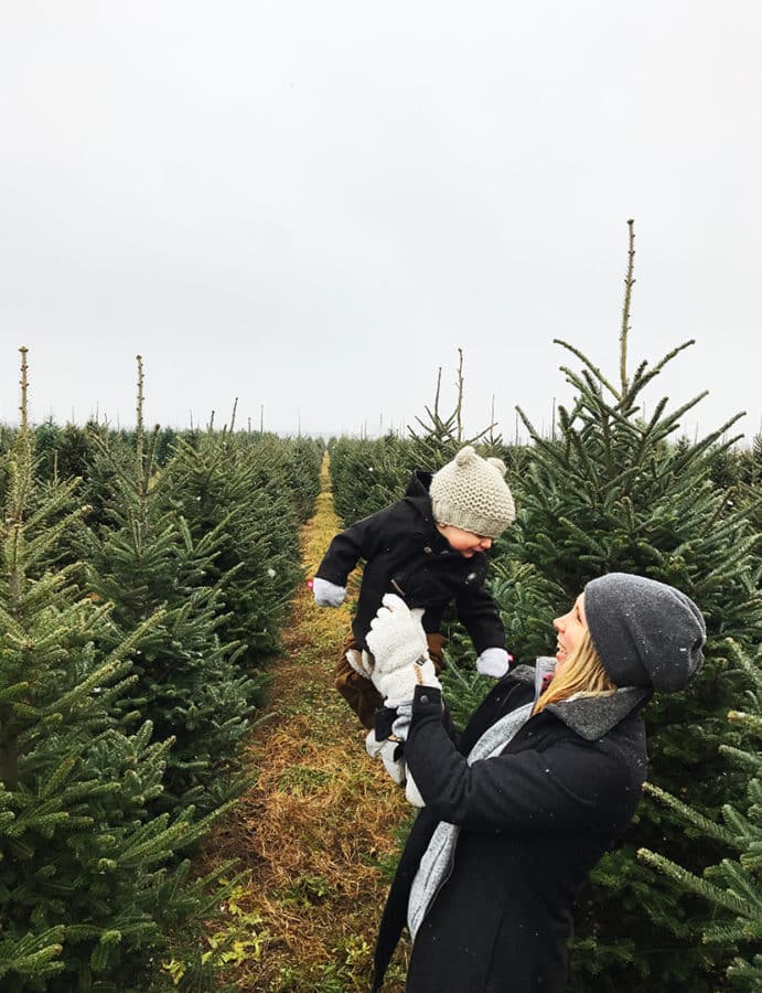 The Family Tree: A Christmas Tradition - Fresh Exchange