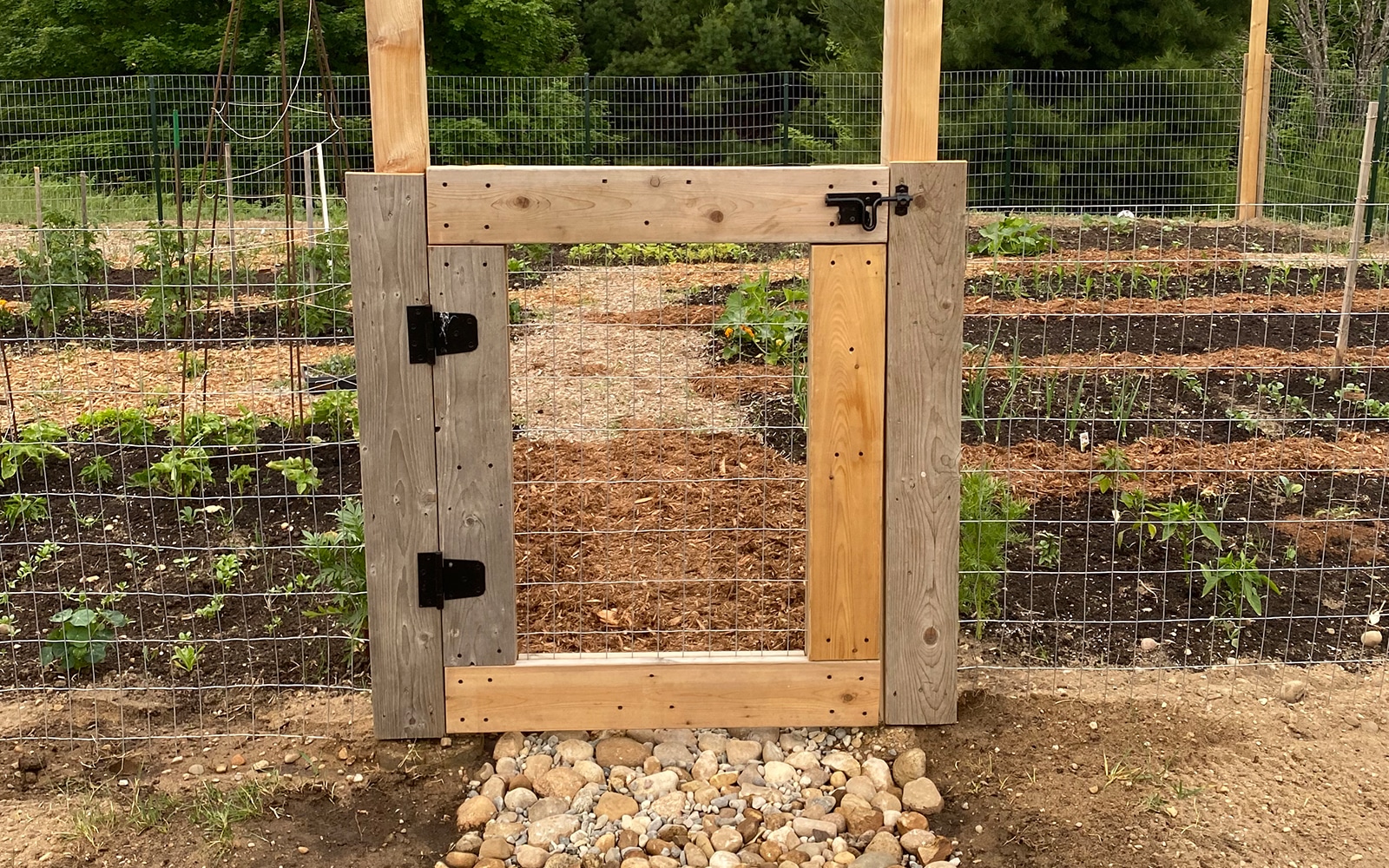  Wie man einen DIY Gartenzaun kostengünstig baut, der Hirsche aus Ihrem Garten fernhält.