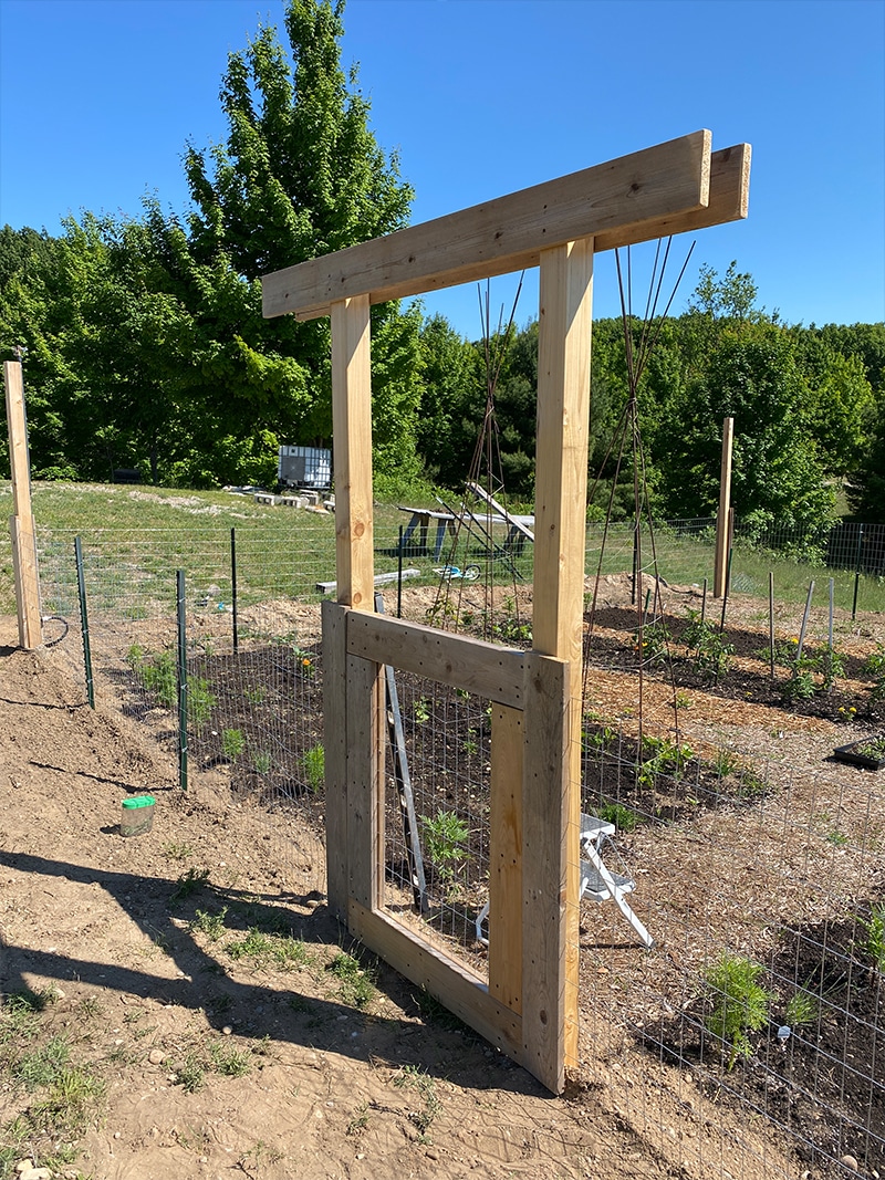como construir uma cerca de Jardim DIY de forma acessível que manterá os cervos fora do seu jardim.