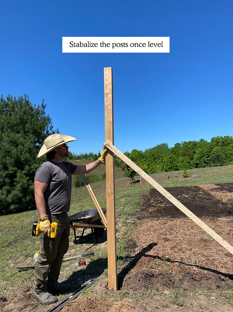 Cum de a construi un gard de gradina DIY accesibil, care va păstra cerb din gradina ta.