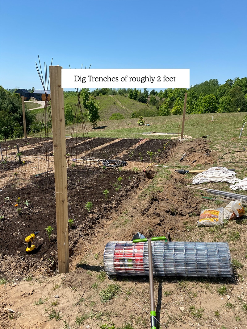 Hoe maak je een DIY Tuin Hek betaalbaar dat zal houden herten uit uw tuin te bouwen.