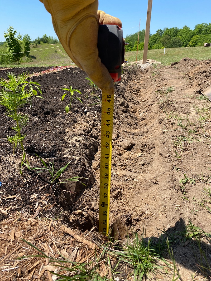  Wie man einen DIY Gartenzaun kostengünstig baut, der Hirsche aus Ihrem Garten fernhält.