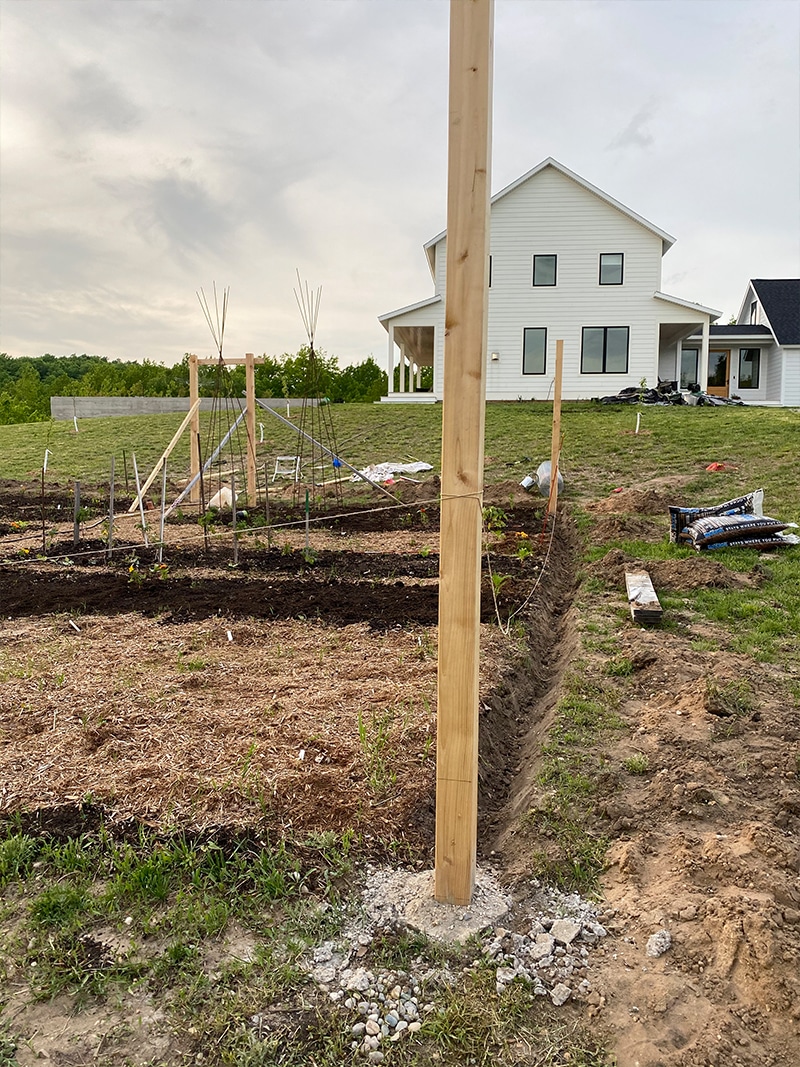 como construir uma cerca de Jardim DIY de forma acessível que manterá os cervos fora do seu jardim.