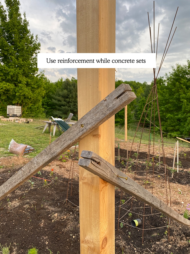  Comment construire une clôture de jardin BRICOLAGE à un prix abordable qui gardera les cerfs hors de votre jardin.