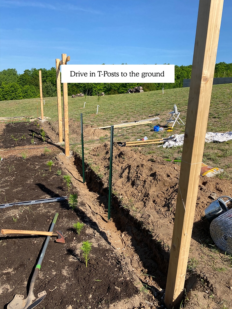  Comment construire une clôture de jardin BRICOLAGE à un prix abordable qui gardera les cerfs hors de votre jardin.